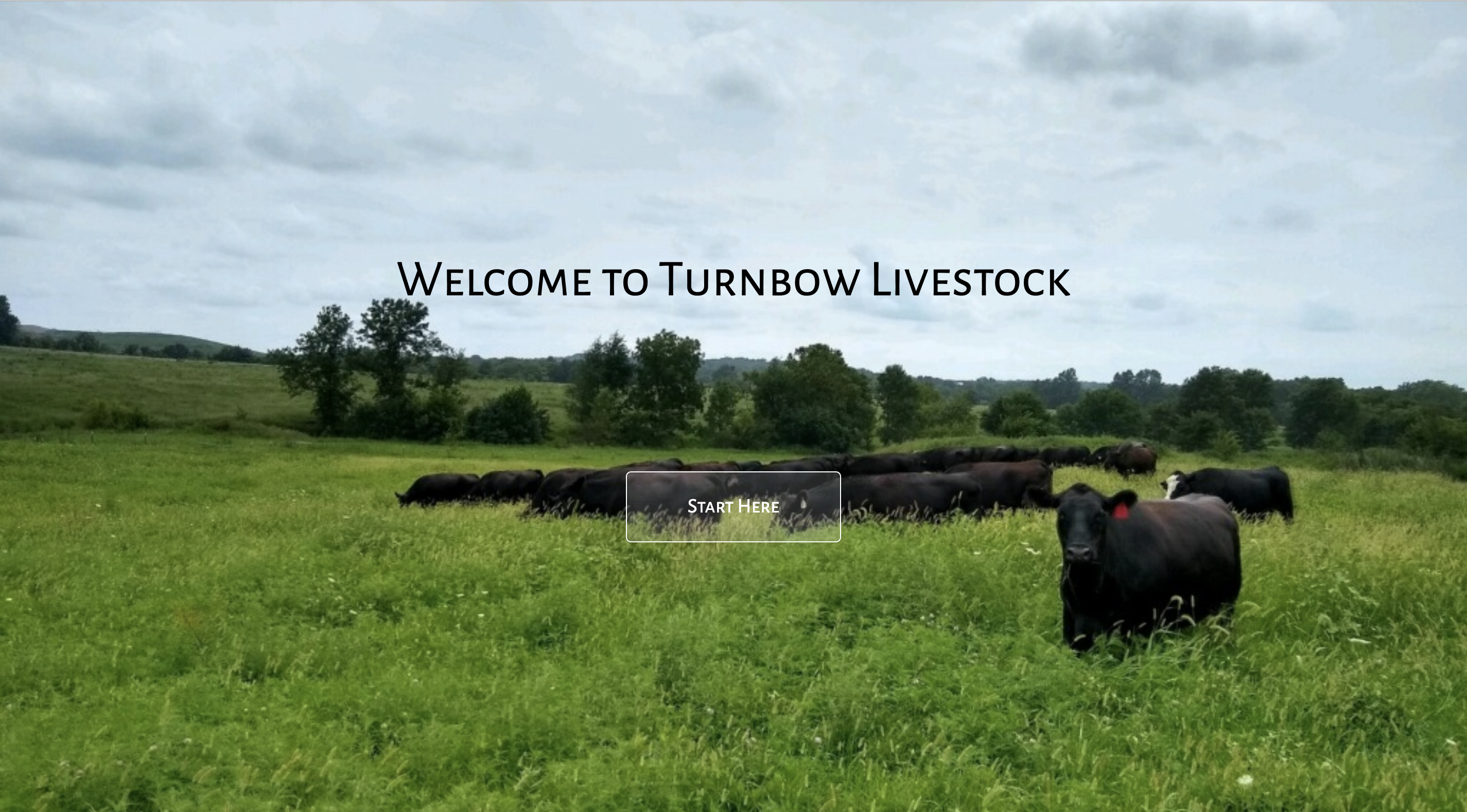 turnbow-livestock-website-image